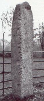 Coolmagort Ogham Stone [13kB]