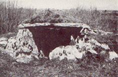 Baur South Wedge Tomb [11kB]
